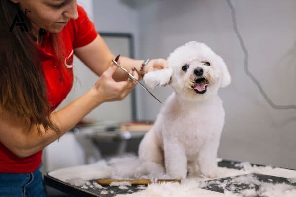 Pet Grooming Implementation